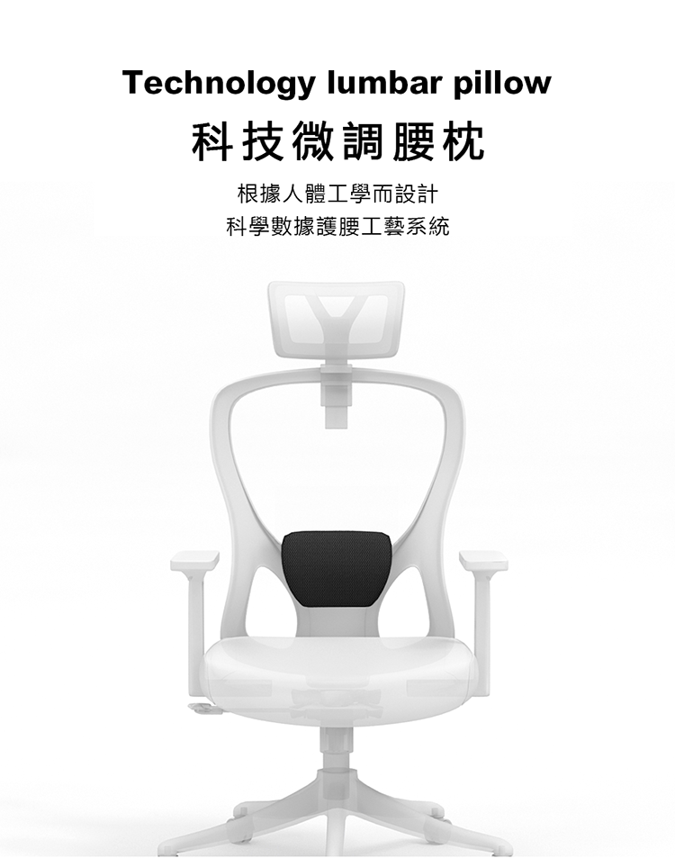 Technology lumbar pillow科技微調腰枕根據人體工學而設計科學數據護腰工藝系統